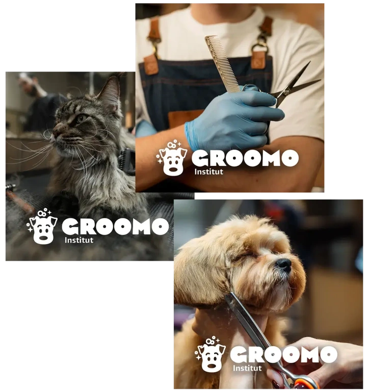 GROOMO Institut - kurzy a školení groomingu pro psy i kočky