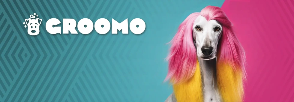 GROOMO – Pro groomery, profi páníčky a paničky